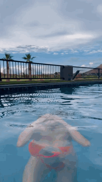 Scrolller Pool Pool time | Scrolller